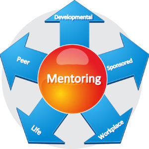 Mentoring info graphic with five arrow Developmental, Peer, Sponsored, Life, Workplace